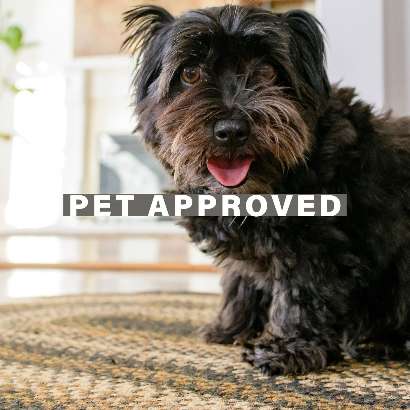 Kilimanjaro Black  Jute Braided Oval Rug for pets