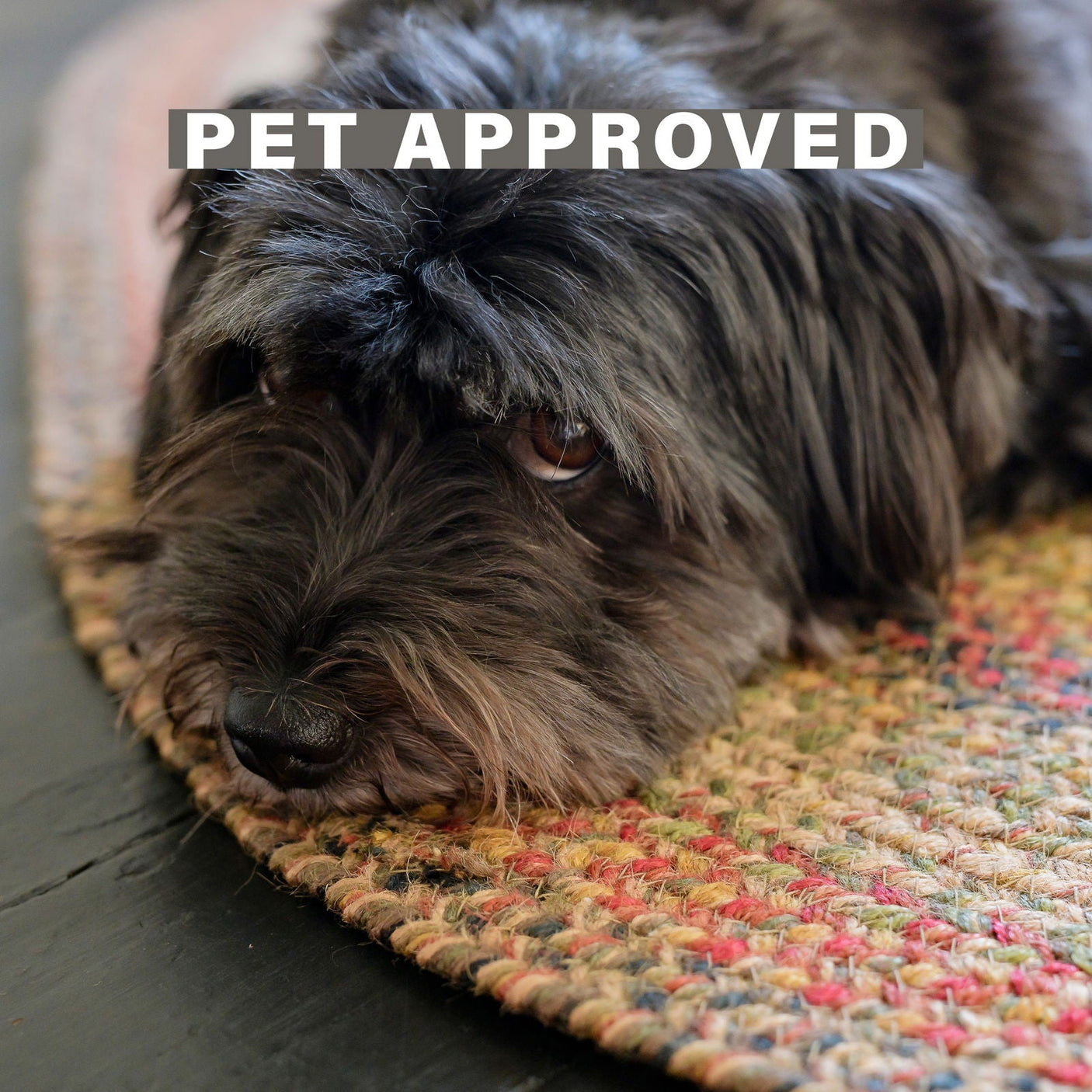 Kingston Multi Color Jute Braided Oval Rugs for Pets