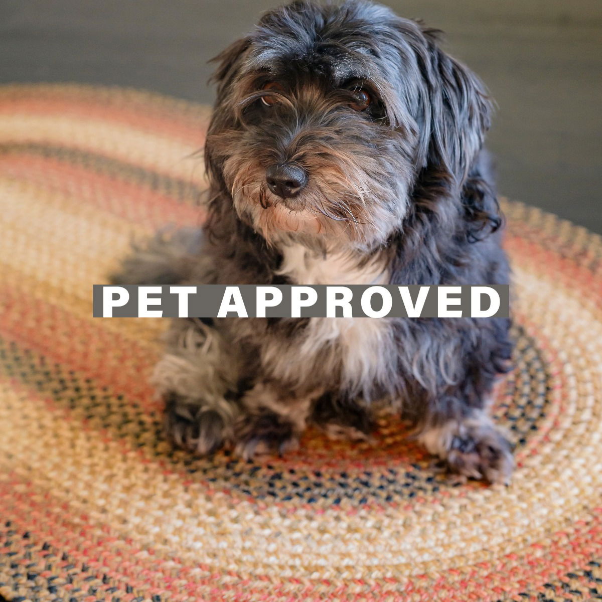 Beige Jute Braided Oval Rugs  for Pets