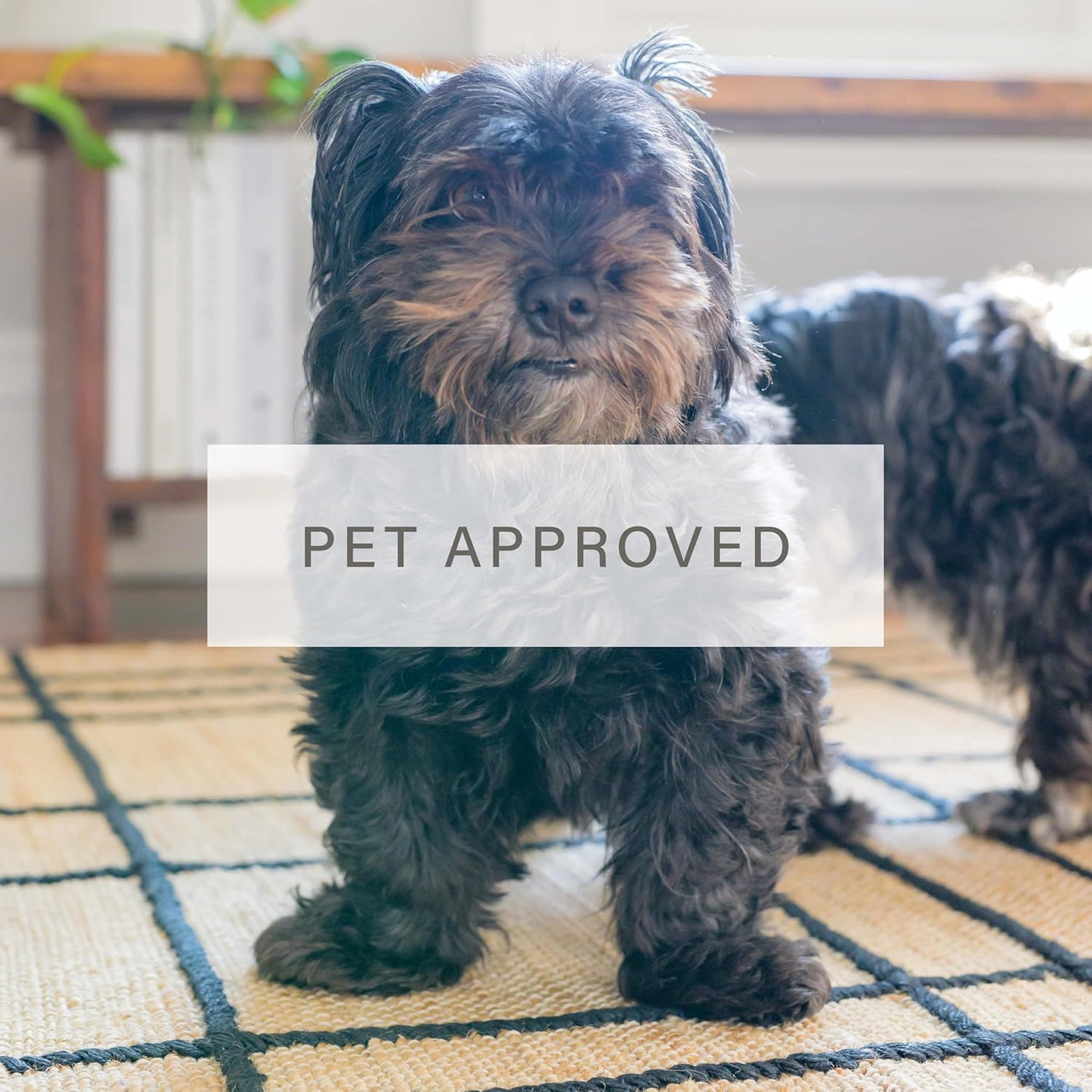 Nell Window Pane Premium Jute Rug With Backing