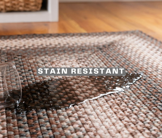 Ultra Durable Rugs