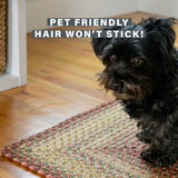 Best Burgundy Braided Rectangular Rug for Pets