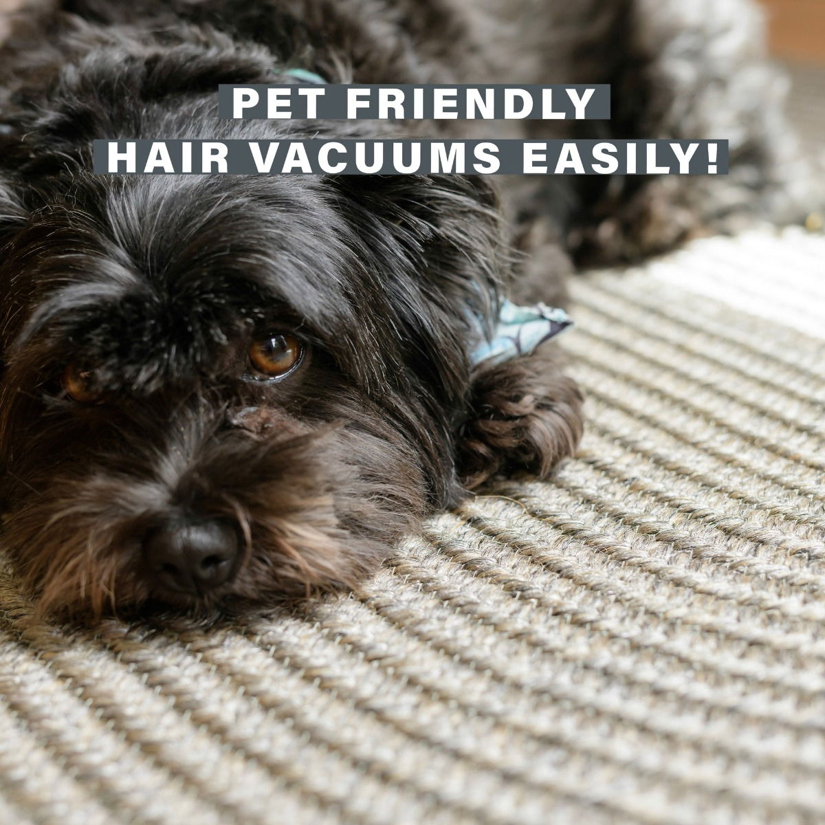 Biscuit Brown Braided Area Rug – pet-friendly, durable, perfect for indoor/outdoor, entryway, bedroom, kitchen, or living room.