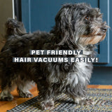 Durable Black Forest oval braided rug for Pets